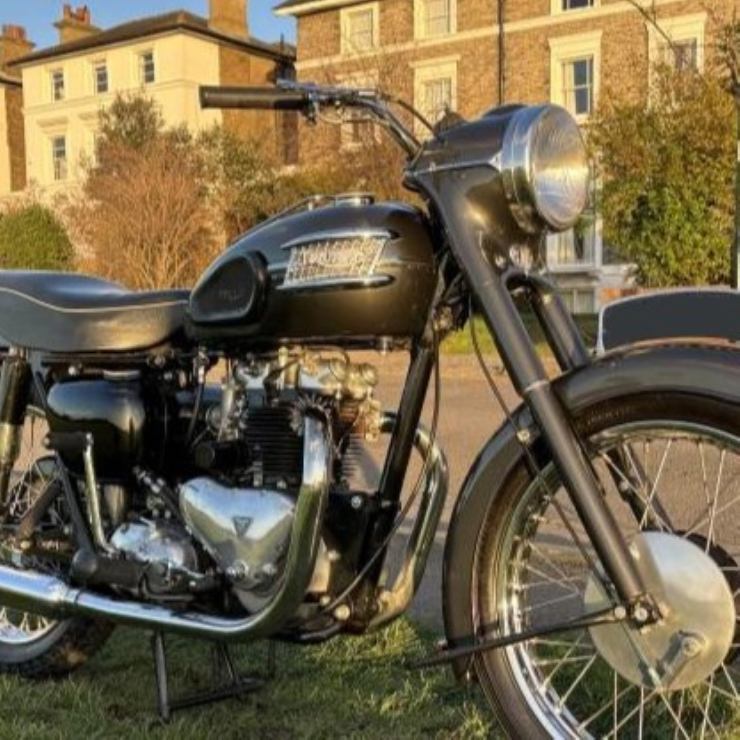 Triumph Polychromatic Charcoal Grey Paint Product